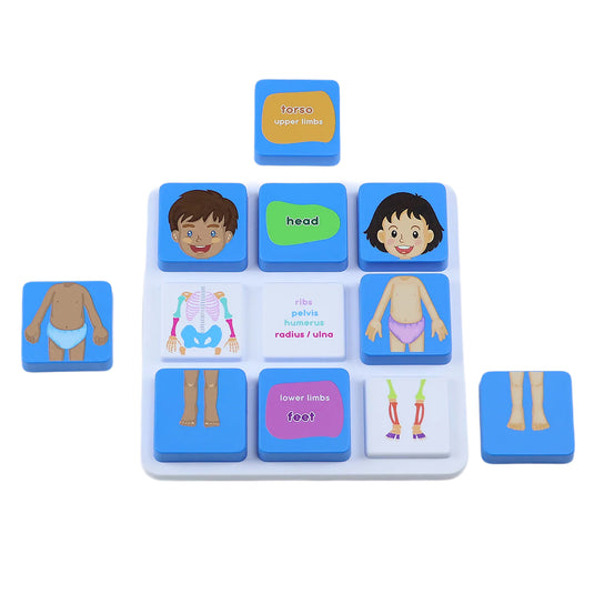 Kit Super Combo do Corpo Humano