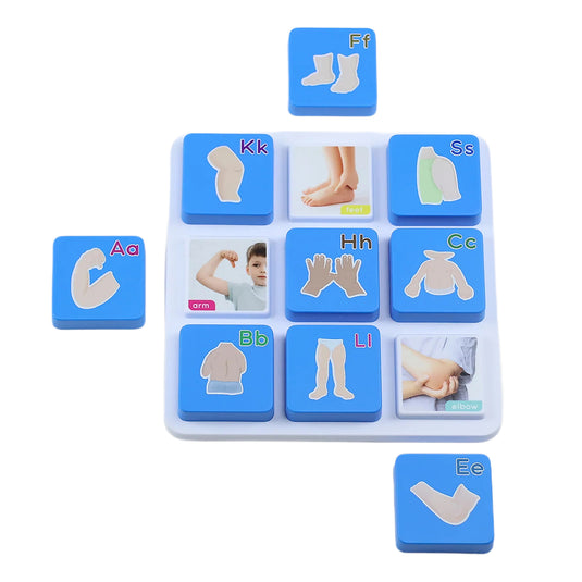 Kit Super Combo do Corpo Humano