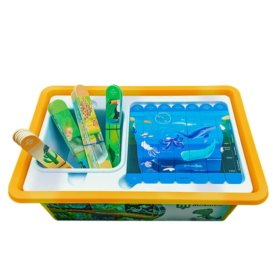 Kit Mosaico Puzzle Biomas