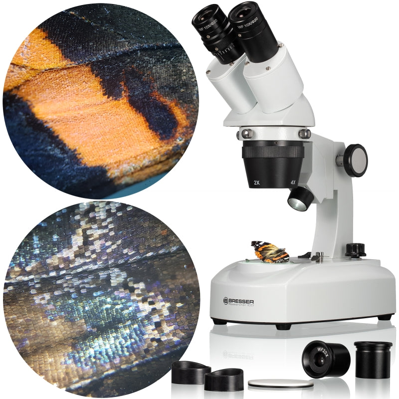 Cargue la imagen en el visor de la galería, Microscopio estereoscópico LED del investigador ICD