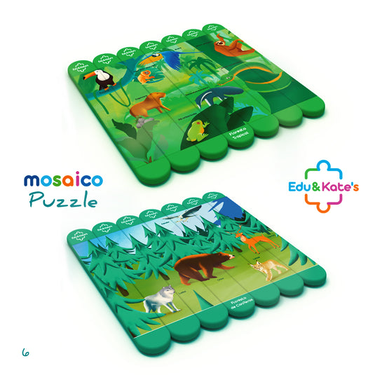 Kit Mosaico Puzzle Biomas
