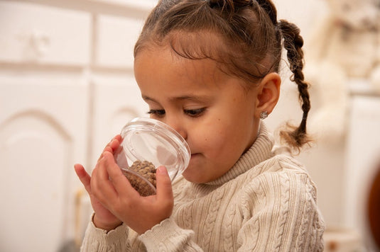 Visualizador de insectos com lupa de aumento