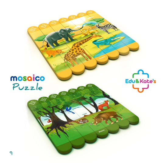Kit Mosaico Puzzle Biomas