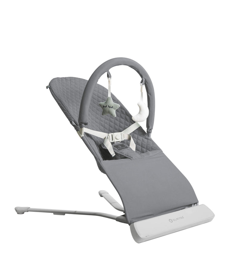 Load image into Gallery viewer, Cadeira de Repouso Multifunções