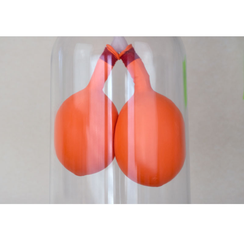 Load image into Gallery viewer, Lung demonstration apparatus
