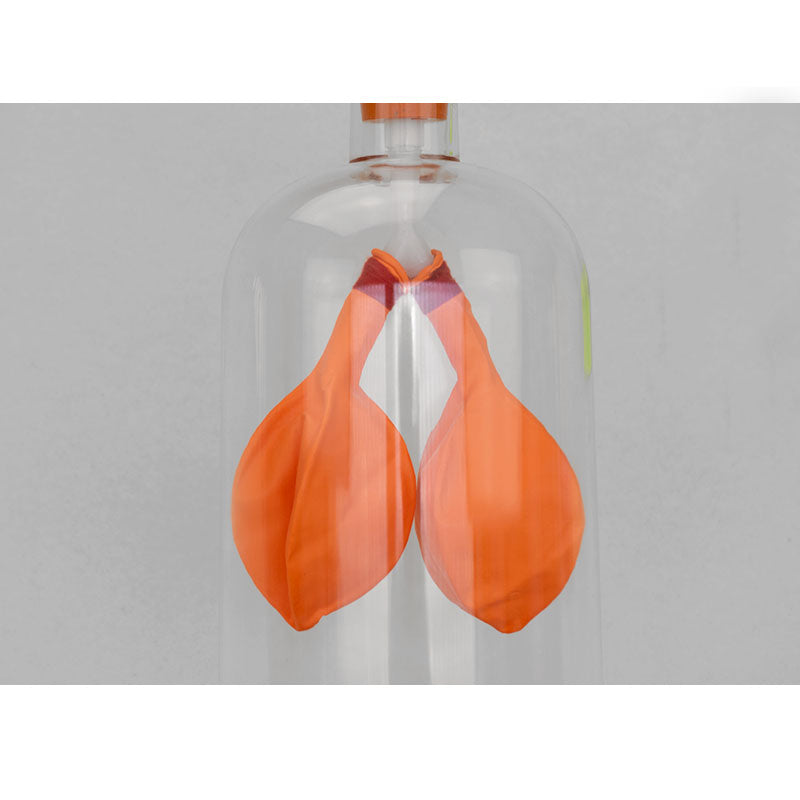 Load image into Gallery viewer, Lung demonstration apparatus
