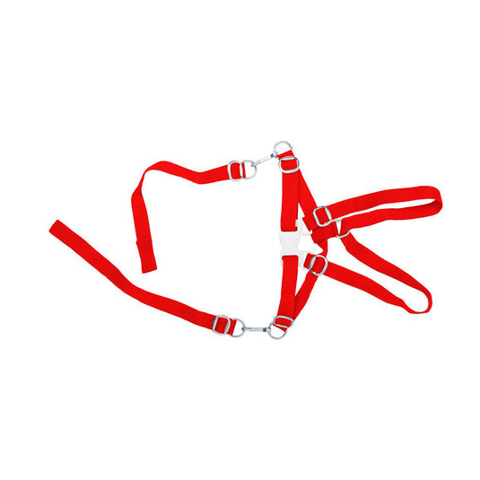 EMMI Chair Safety Harness