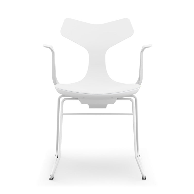 Load image into Gallery viewer, Whale Chair with Sled Base - Low