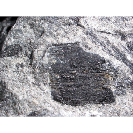 Rock/Mineral Samples (assorted)