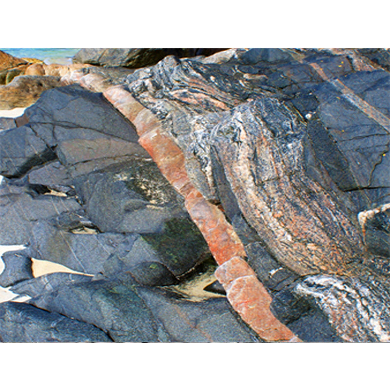 Load image into Gallery viewer, Rock/Mineral Samples (assorted)