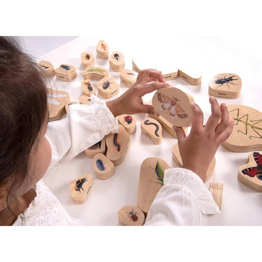 Jogo em madeira de insetos