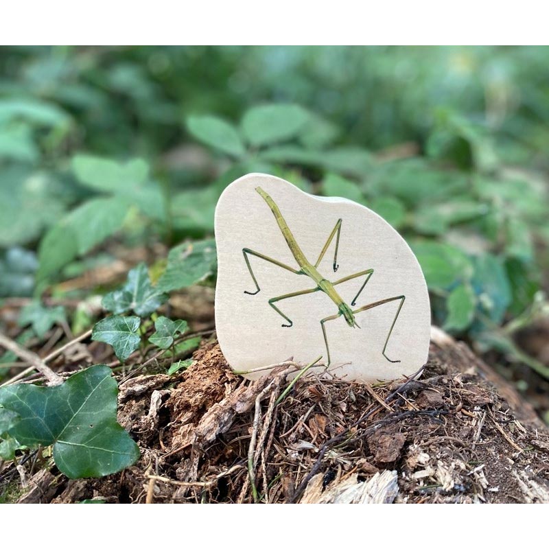 Cargue la imagen en el visor de la galería, juego de madera de insectos