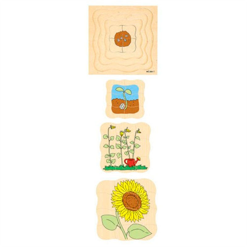 Cargue la imagen en el visor de la galería, Rompecabezas de secuencia de crecimiento de girasol