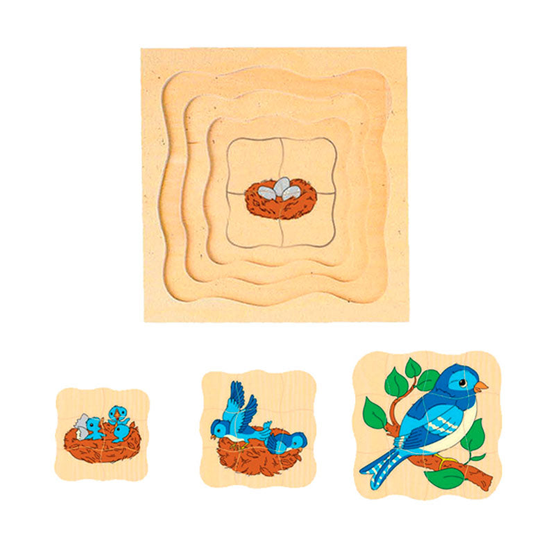 Cargue la imagen en el visor de la galería, Puzzle sequência crescimento do pássaro