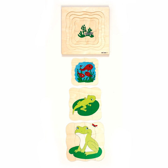 Puzzle sequência crescimento do sapo