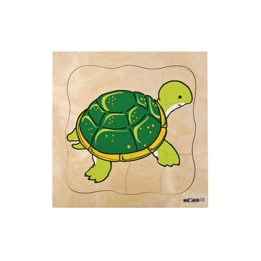 Puzzle sequência de crescimento Tartaruga