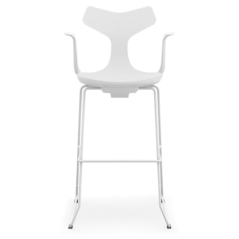 Load image into Gallery viewer, Whale Chair with Sled Base – High