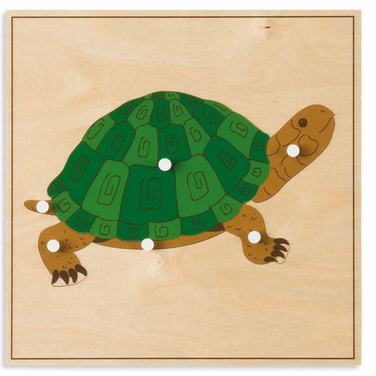 Puzzle da tartaruga em madeira