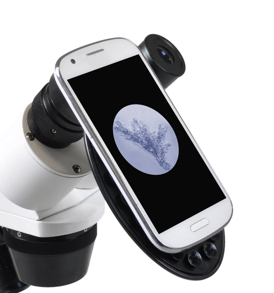 Lupa binocular 20x-40x 360º