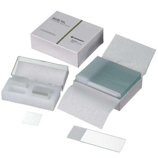Conjunto de 50 lâminas e 100 lamelas