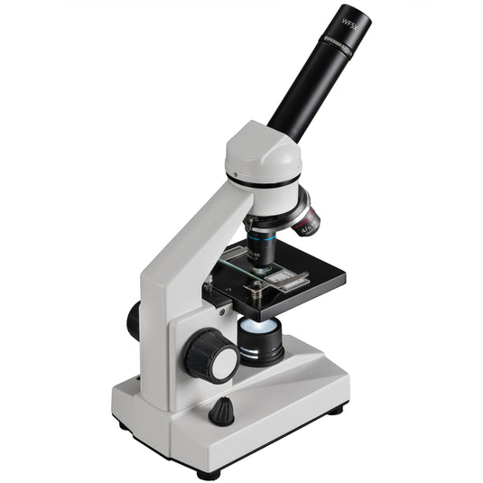 Microscópio BRESSER Biolux DLX 20x–1280x com estrutura metálica