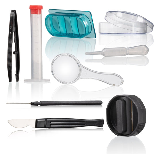 Microscópio Junior 40x–640x com conjunto de acessórios inteligentes