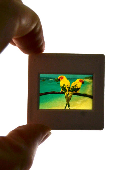 Cargue la imagen en el visor de la galería, Banco de Física Óptica Modelo Premium
