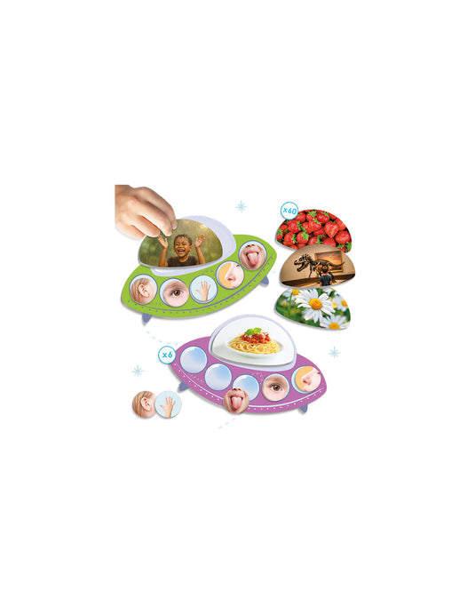 Missão: Descobrir os 5 sentidos