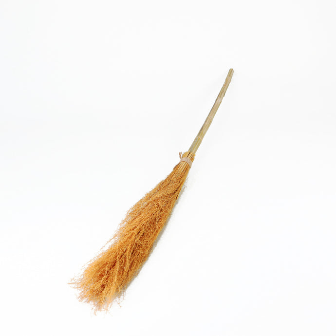 Halloween Witch Broom