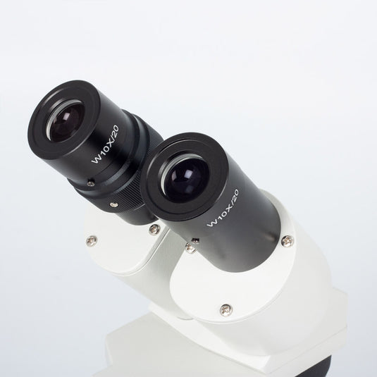 Lupa estereoscópica binocular ST-30C 6LED Sem fios Motic