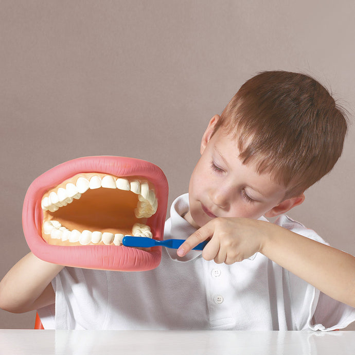 Modelo gigante de higiene dentária