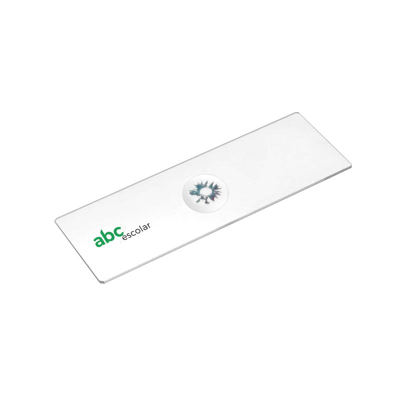 chara – ABC Escolar