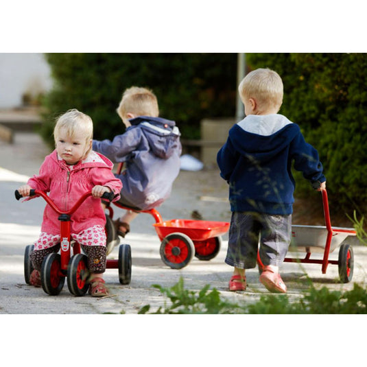 Mini triciclo vikingo sin pedales (1 - 3 años)